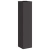 vidaXL Lumi&egrave;re de Chemin LED Solaire 2 pcs Noir Acier lamin&eacute; &agrave; froid