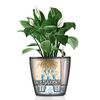 LECHUZA Jardini&egrave;re de table CLASSICO LS 21 ALL-IN-ONE blanc brillant
