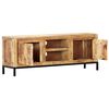 vidaXL Meuble TV 118 x 30 x 45 cm Bois de manguier massif
