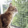 Kerbl Filet de protection pour chat 6x3 m Transparent