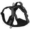 vidaXL Harnais pour chien avec laisse et collier r&eacute;glables noir L