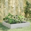 vidaXL Lit sur&eacute;lev&eacute; de jardin 100x100x33,5 cm acier inoxydable
