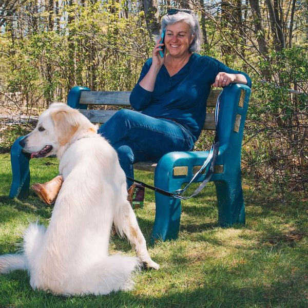 Kurgo Laisse réfléchissante 6 en 1 pour chien Quantum Noir et bleu