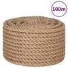 vidaXL Corde 100 % jute 20 mm 100 m