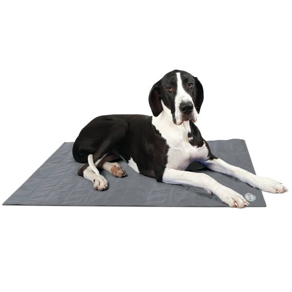 Scruffs & Tramps Tapis refroidissant pour chiens Gris Taille XL 2719