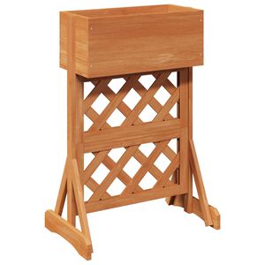 vidaXL Trellis de jardin vertical Orange 48 x 30 x 70,5 cm