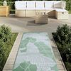 vidaXL Tapis d'ext&eacute;rieur ARAKIL vert 80x250 cm PP