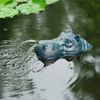Ubbink Fontaine de jardin &agrave; cracheur flottante Hippopotame