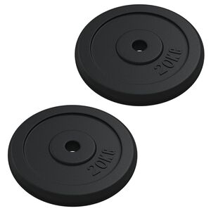 vidaXL Plaque de poids 40 kg Fonte
