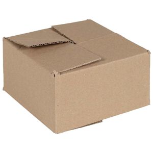 vidaXL Bo&icirc;te Pliable 50 pi&egrave;ces Naturel 15 x 15 x 8 cm Carton