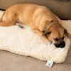 HuggleHounds Tapis pour chiens Polaire S Blanc laine