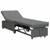 vidaXL Canap&eacute;-lit escamotable Gris fonc&eacute; 194 x 50 x 82 cm tissu