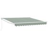 vidaXL Auvent r&eacute;tractable Vert et blanc 300 x 250 x 165 cm