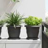 vidaXL Plateau &agrave; fleurs rond 6 pcs Noir &Oslash; 17,5 x 2 cm Plastique