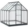 vidaXL Serre de jardin avec porte Anthracite 183,5 x 243,5 x 207 cm