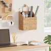 vidaXL Panier suspendu Naturel 30 x 17,5 x 49,5 cm Jacinthe d'eau