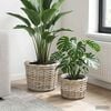 Vignette du produit 2 sur 9