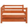vidaXL Lit de jour et lit gigogne sans matelas 90x200 cm bois massif