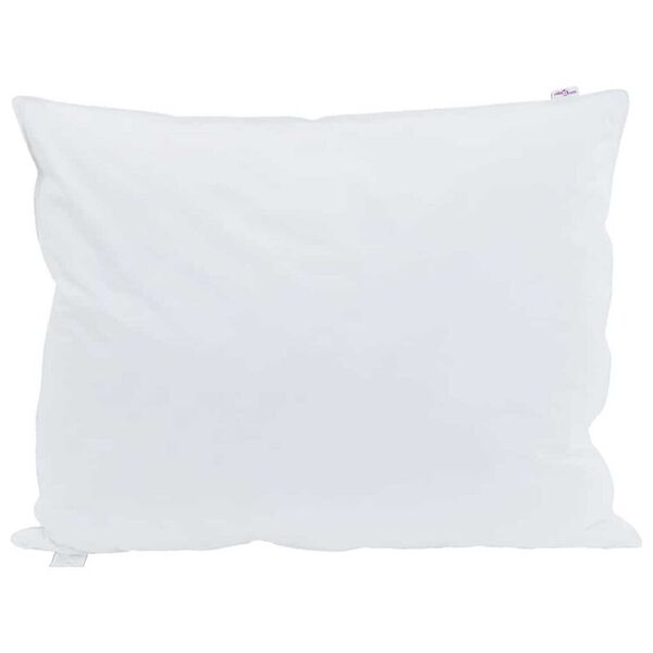 vidaXL Oreiller avec oreiller 2 pcs Blanc 70 x 90 cm Plume
