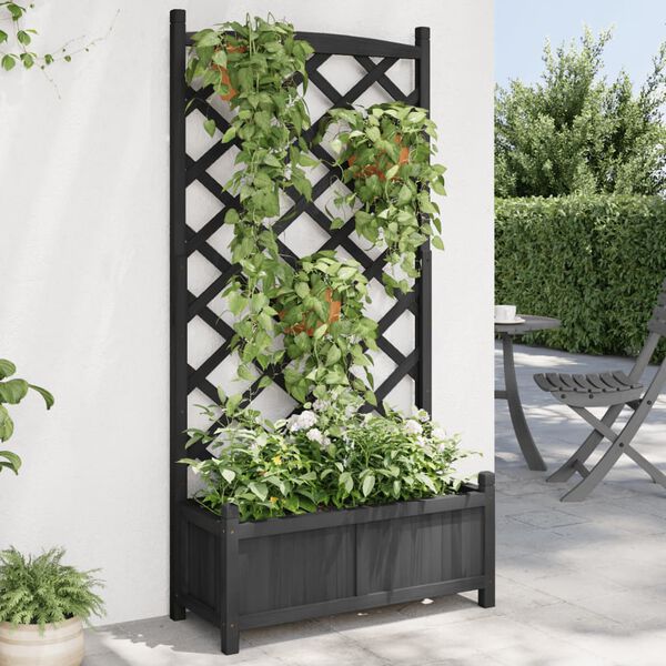 vidaXL Jardini&egrave;re avec treillis noir bois massif de sapin