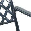 vidaXL Chaise de jardin 2 pcs Anthracite 56 x 65 x 89 cm Acier