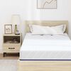 vidaXL Matelas Blanc et Bleu 100 x 200 cm Tissu jacquard