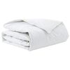 vidaXL Duvet d'hiver 135 x 220 cm Hiver Plume Blanc Respirant