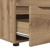 vidaXL Armoire de rangement Ch&ecirc;ne artisanal 60 x 48 x 57 cm
