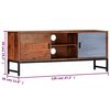 vidaXL Meuble TV 120x30x49 cm Bois d'acacia massif
