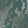 DUTCH WALLCOVERINGS Papier peint Paon Vert et argent&eacute;