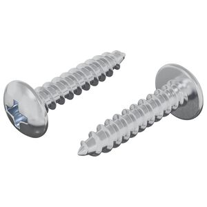 vidaXL Vis en bois 2 pi&egrave;ces Argent&eacute; M4 x 20 mm Acier