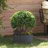 vidaXL Anneau de jardini&egrave;re 5 pcs Anthracite 40 x 40 x 20 cm