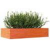 vidaXL Jardini&egrave;re cire marron 110x60x23 cm bois de pin massif