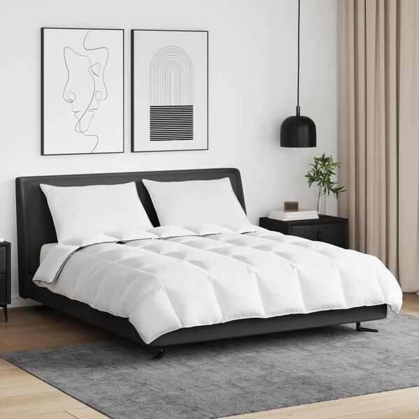 vidaXL Duvet d'hiver avec oreiller 3 pcs Blanc Plume de canard