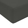 vidaXL Coussin de canap&eacute; d'ext&eacute;rieur 2 pcs Anthracite Polyester