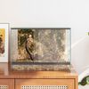 vidaXL Terrarium avec stockage Transparent 40 x 30 x 30 cm Verre