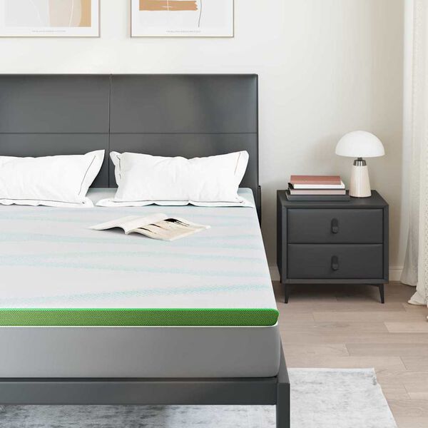 vidaXL Surmatelas Blanc et vert 180 x 200 cm Tissu Jacquard