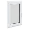 vidaXL Fen&ecirc;tre de sous-sol RISOR 60 x 100 cm PVC et verre Blanc