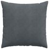 vidaXL Coussins de canap&eacute; 2 pcs Gris fonc&eacute; 80 x 80 cm