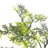 vidaXL Plante artificielle avec pot Cypr&egrave;s Vert 120 cm