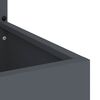 vidaXL &Eacute;cran de confidentialit&eacute; de jardin Anthracite 50 x 140 cm