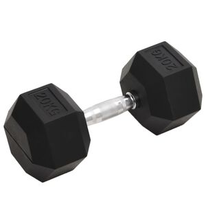 vidaXL Halt&egrave;re 20 kg Fonte