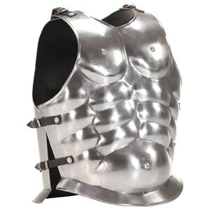 vidaXL Cuirasse d'armure corporelle de soldat romain GN Argent&eacute; Acier