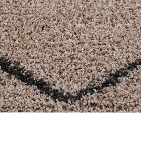 vidaXL Tapis shaggy &agrave; poils longs Beige et anthracite 160x230 cm