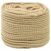 vidaXL Corde de bateau 4 mm 25 m Naturel