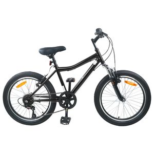 vidaXL V&eacute;lo pour Enfants 20 Pouces 6-Vitesse