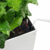 LECHUZA Jardini&egrave;re Cubico 22 ALL-IN-ONE blanc brillant