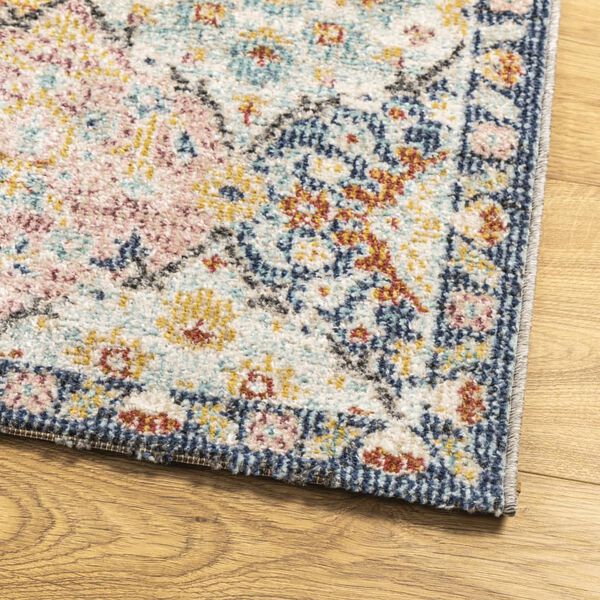 vidaXL Tapis ARBIZU int&eacute;rieur ext&eacute;rieur design vintage 80x250 cm