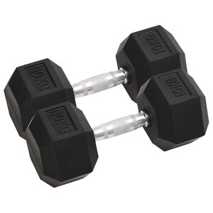 vidaXL Halt&egrave;res 2 pcs 10 kg Total Fonte