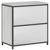 vidaXL Rangement de cuisine avec &eacute;tag&egrave;re Argent 60 x 50 x 92 cm Acier